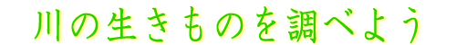 ̐̂𒲂ׂ悤