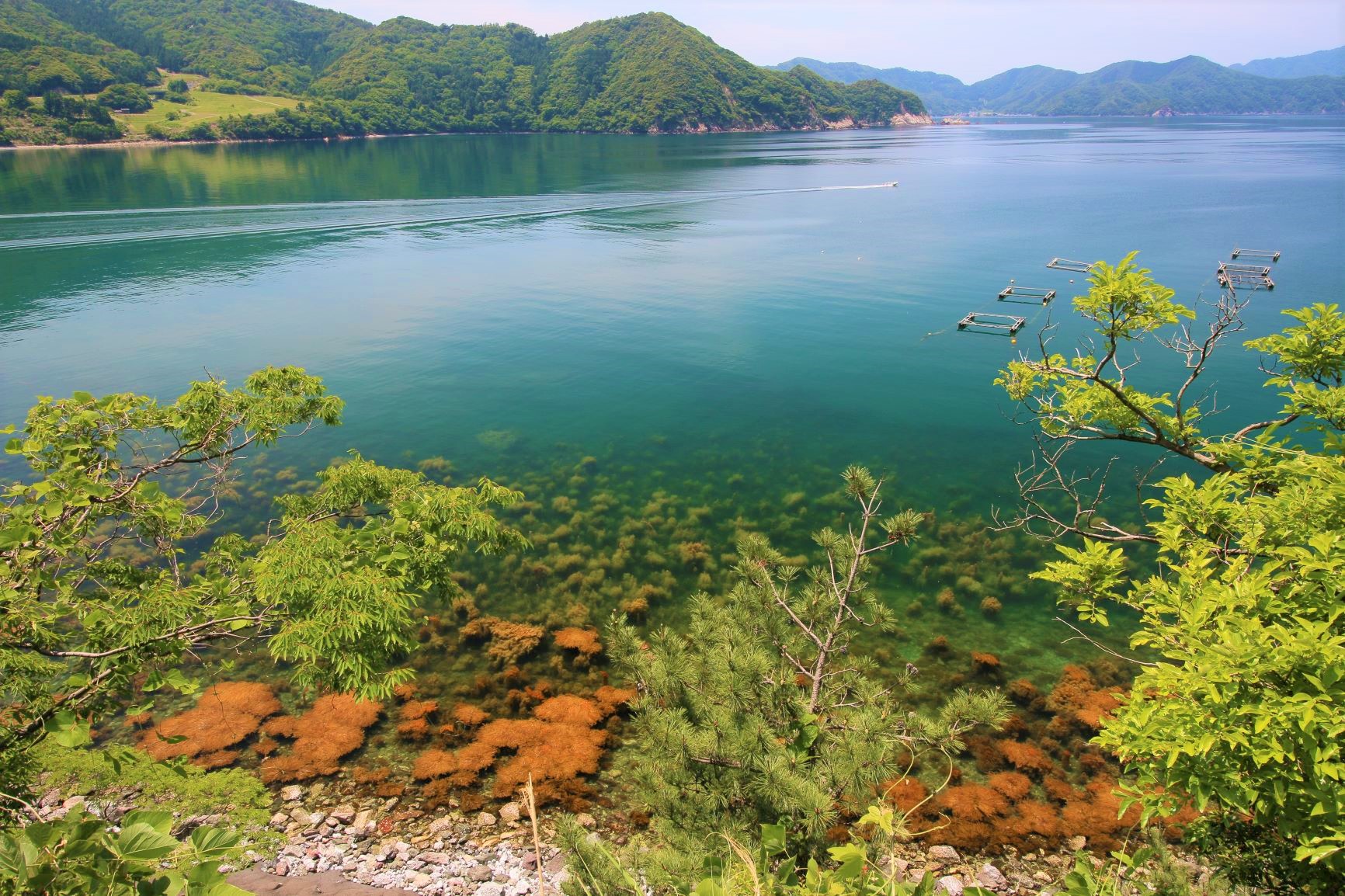 福井県の内浦湾の写真。山々に囲まれた海の真ん中を小さなボートが波紋を広げながら進んでいます。