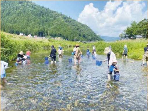 親子で福井県の川の生き物探しをしています。