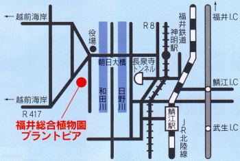 䑍AvgsAē}