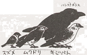 ̃CXg